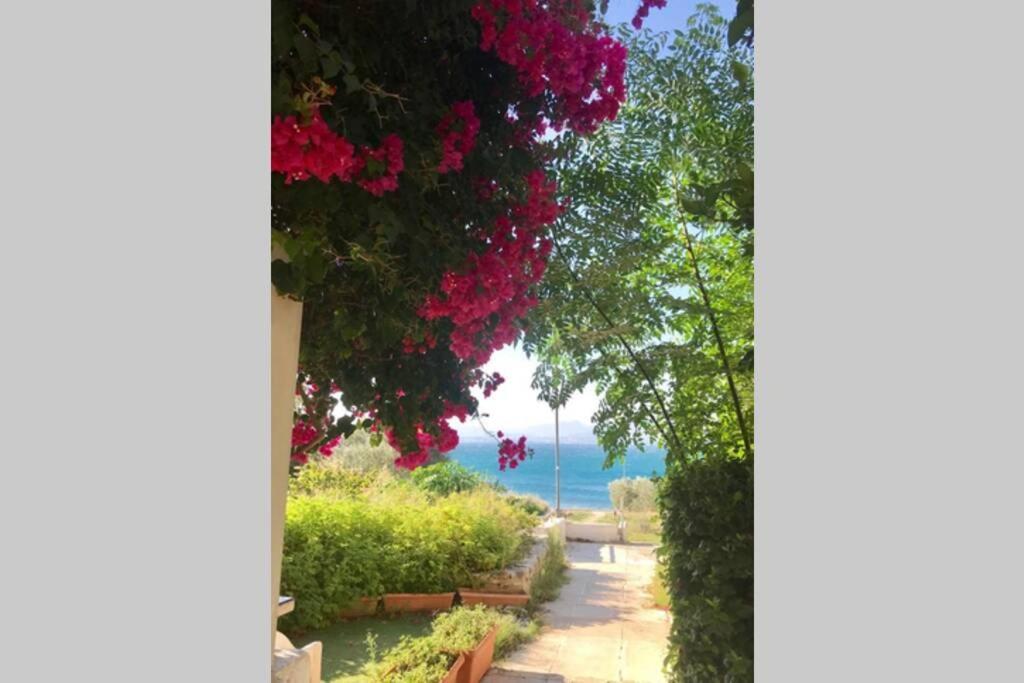 Studio On The Beach Loutraki  Bagian luar foto